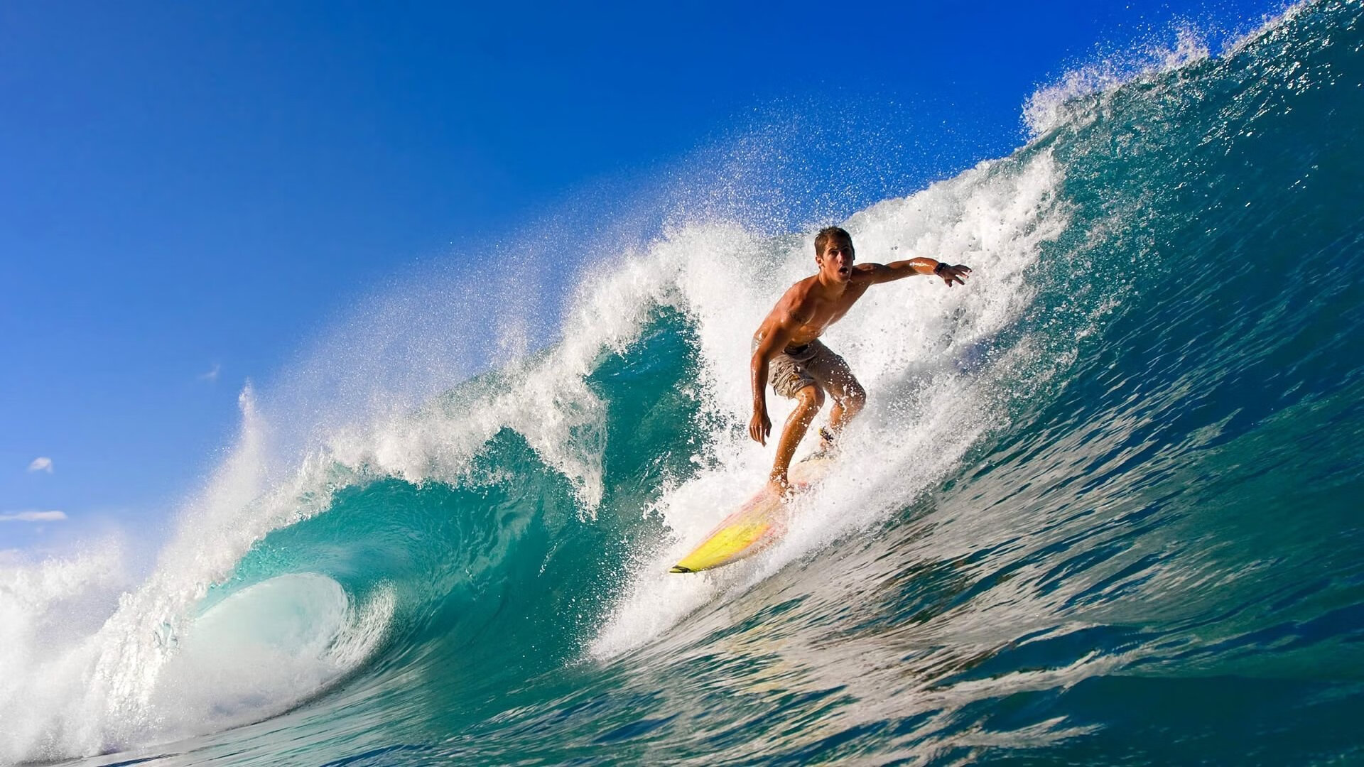 开云app下载-《电竞国王争夺战：年度总决赛唯一的冠军归属》，电竞王国书包网